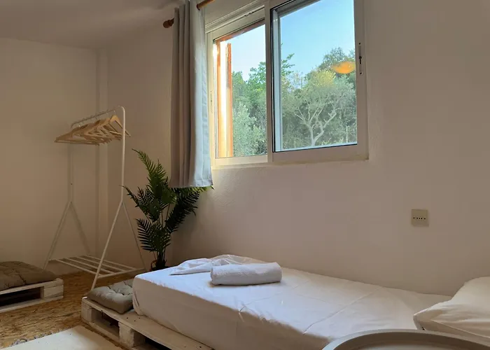 Davanos House 萨索斯